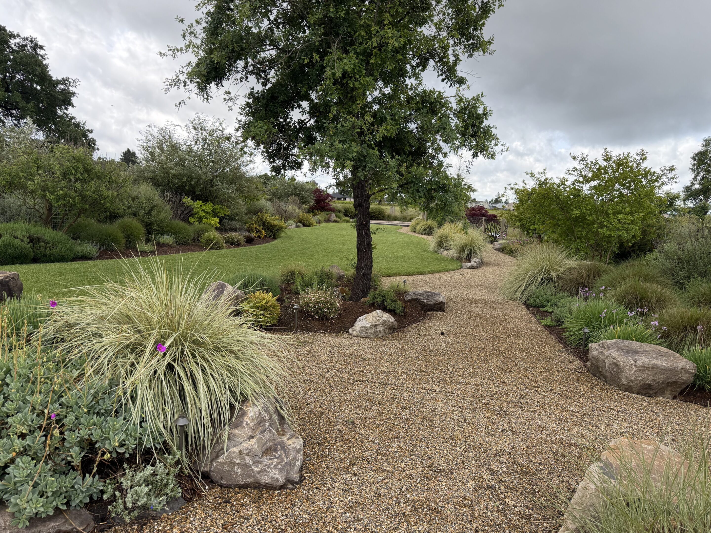 A winding gravel path through a lush garden with trees and rocks.
