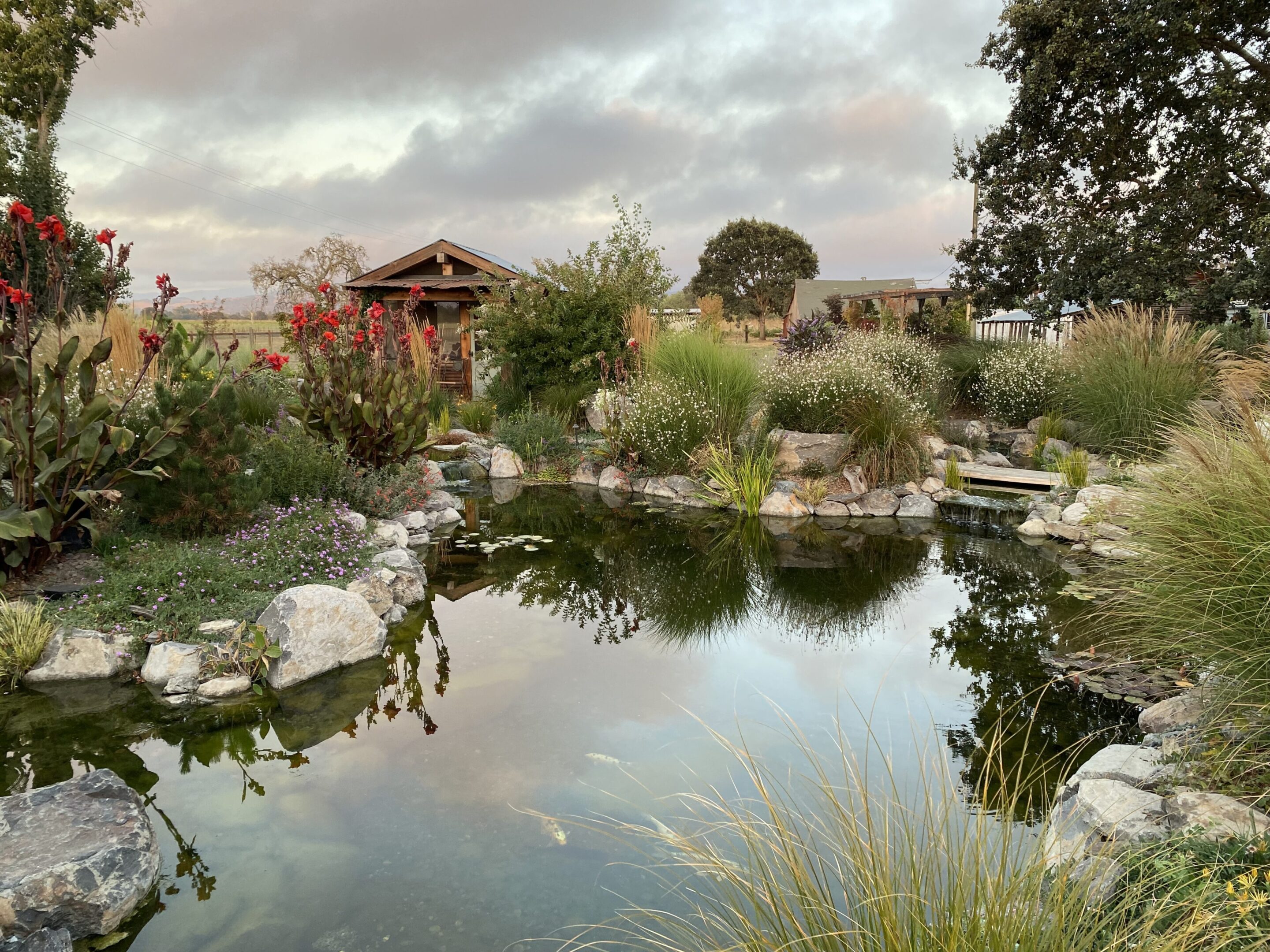 Garden pond with surrounding greenery