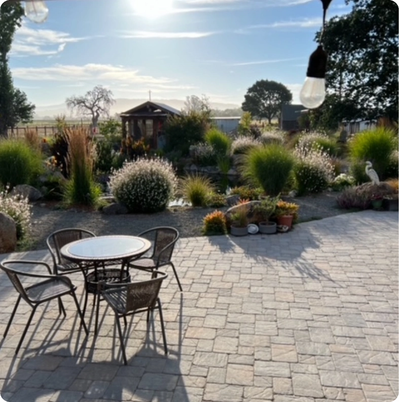 Sunny patio with table and chairs surrounded by ornamental grasses.