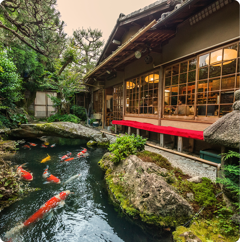 Japanese garden with koi pond