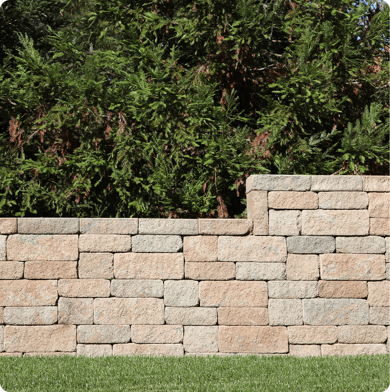 Brick wall and lush greenery
